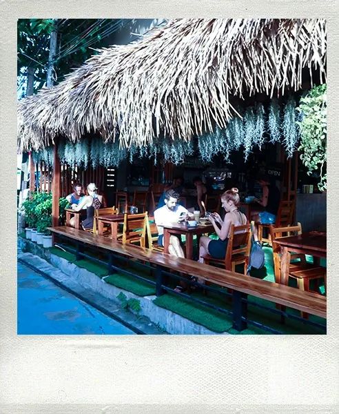 恋恋丽贝岛,人狗情未了|KohLipe