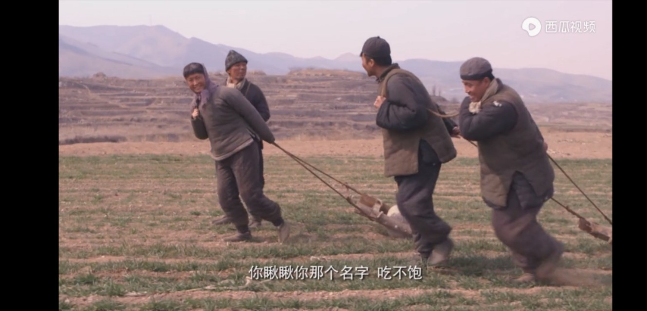 新农业和农业啥区别,什么是农业