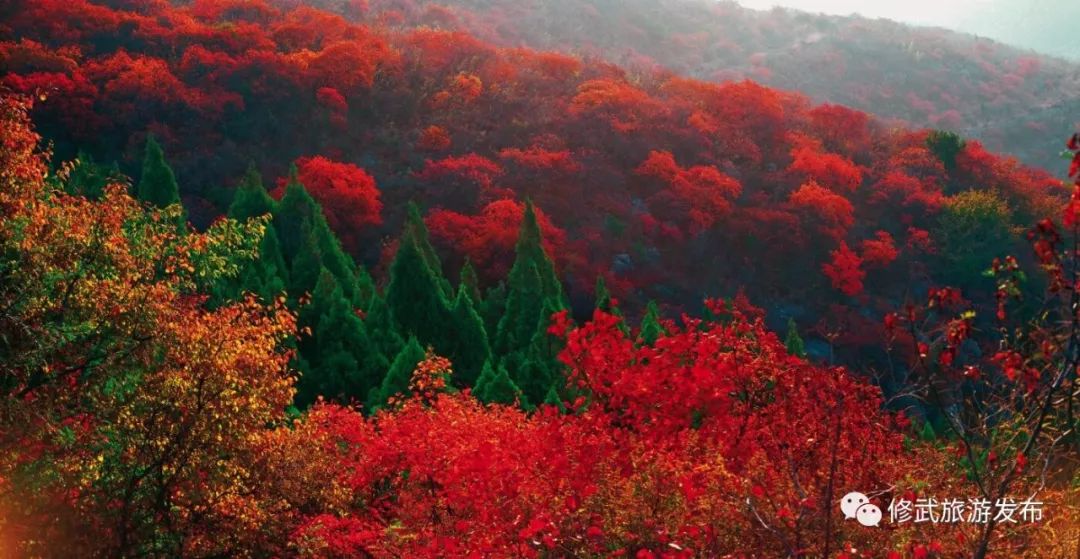 修武，向全世界发出邀请！这个古老的小城，原来可以这么美（惊艳版）