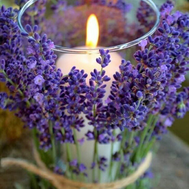 薰衣草好物,薰衣草可以促进头发生长吗