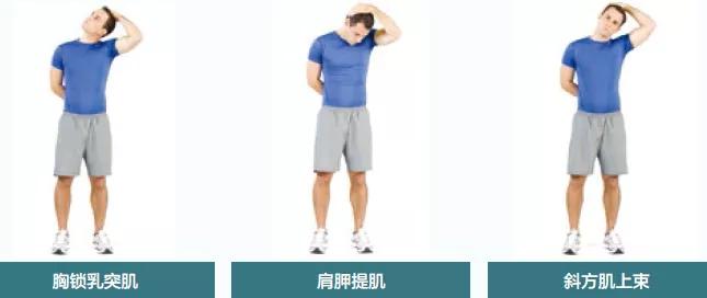 脖子疼用不上劲怎么回事,脖子痛得不能动怎么回事