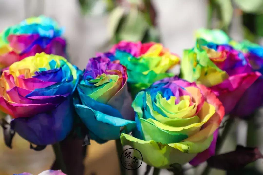 免费送tf口红,tf口红免费送