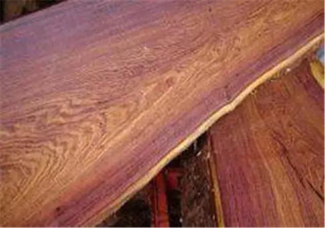 大叶黄花梨是什么样的,大叶黄花梨和白酸枝