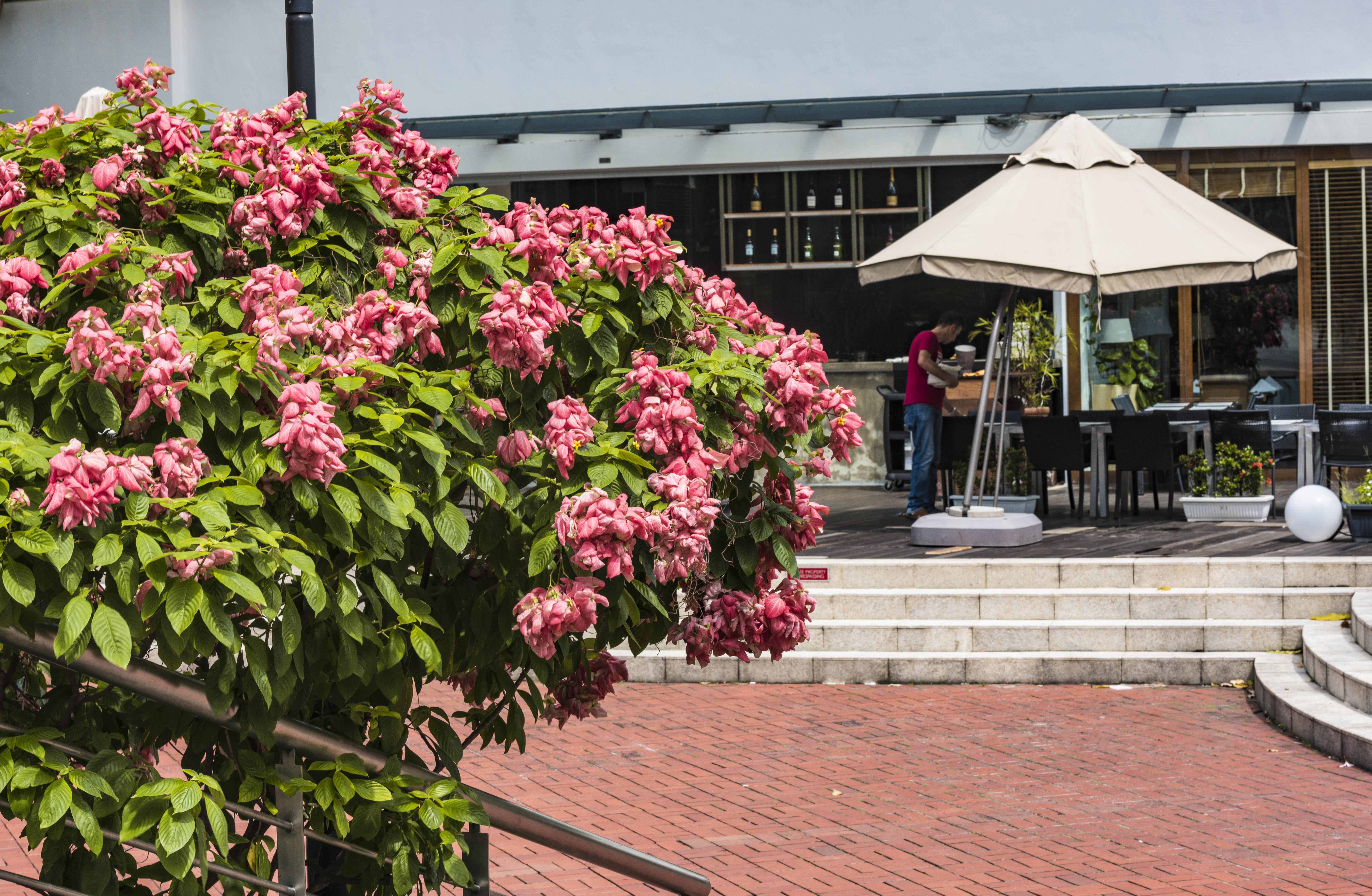 新加坡夜景旅游攻略,新加坡克拉码头夜景
