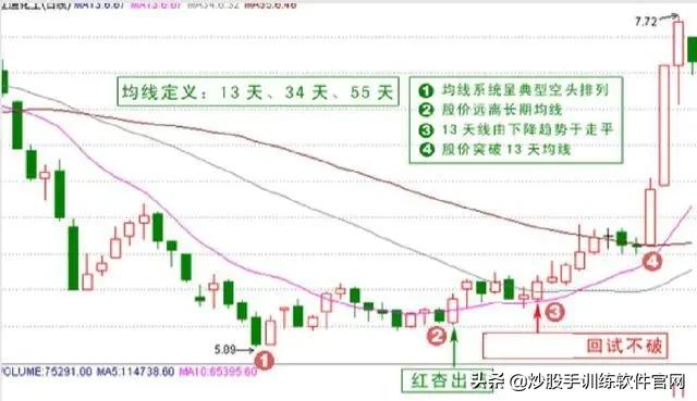 像乌龟一样趴着炒股,像麻雀一样的股票