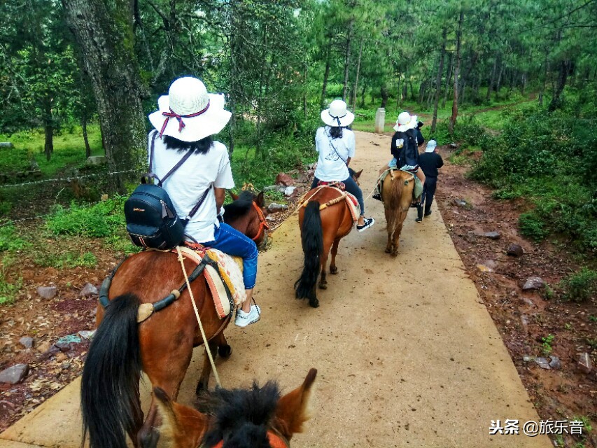 茶马古道拉市海骑马的十个景点,第一次骑马游记