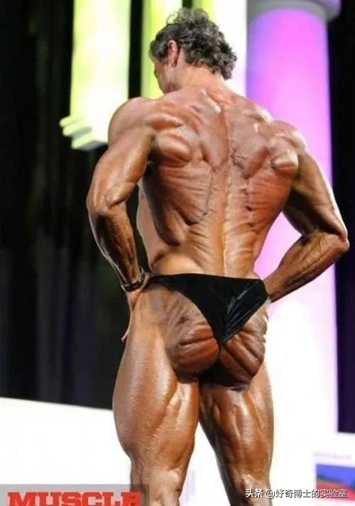 鹌鹑蛋上的花纹可以擦掉吗,鹌鹑蛋的花纹有哪几种