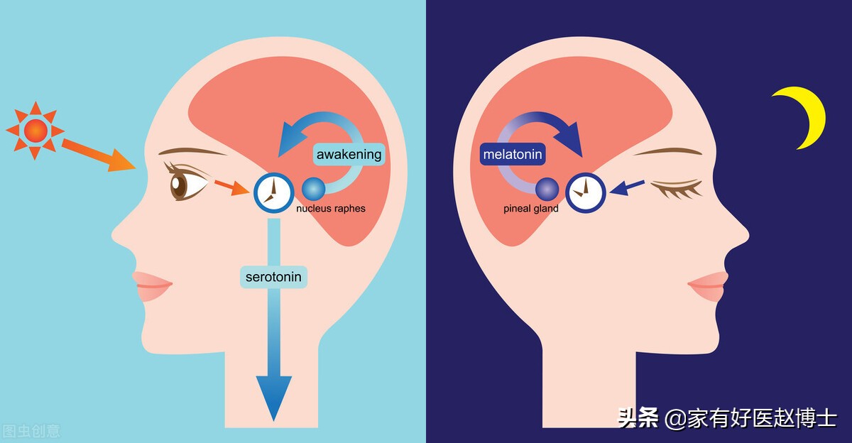 被称为“生理助眠剂”的褪黑素普通片,为何不少人口服效果不佳?