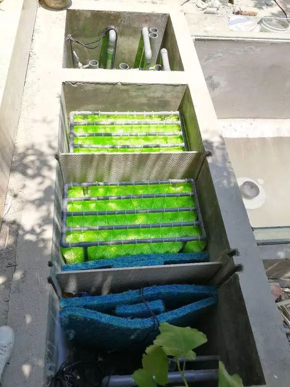 地面上鱼池自动排污过滤施工方法,鱼池过滤系统怎么实现自动排污的