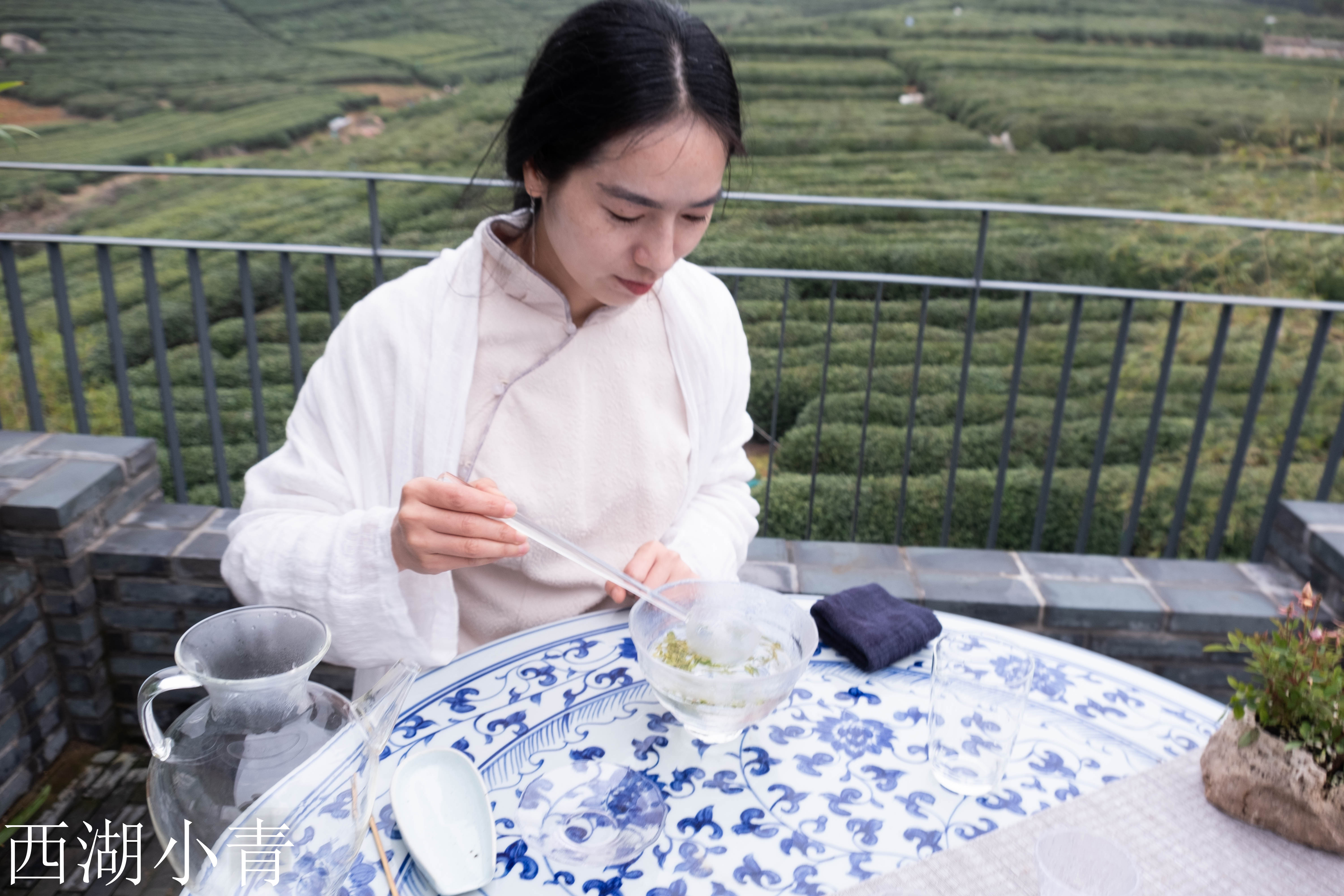 西湖龙井春茶季,龙井茶西湖明前春茶