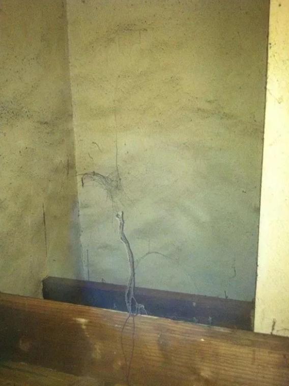 设计师24小时体验18平蜗居,10平米出租屋一个人的生活