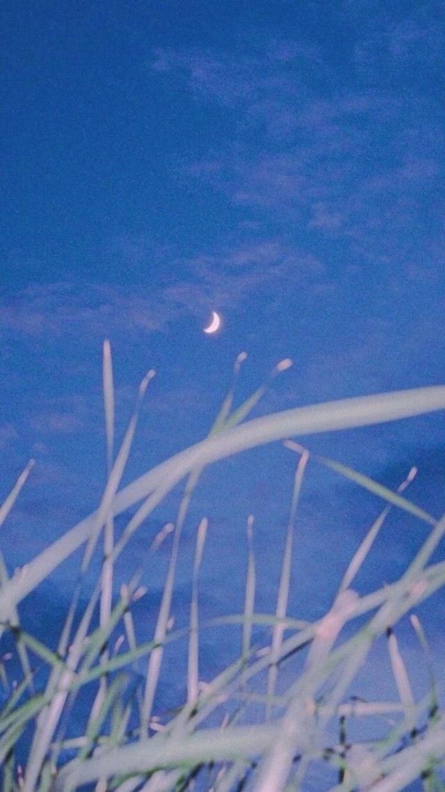 满天星辰是你,不尽思念也是你