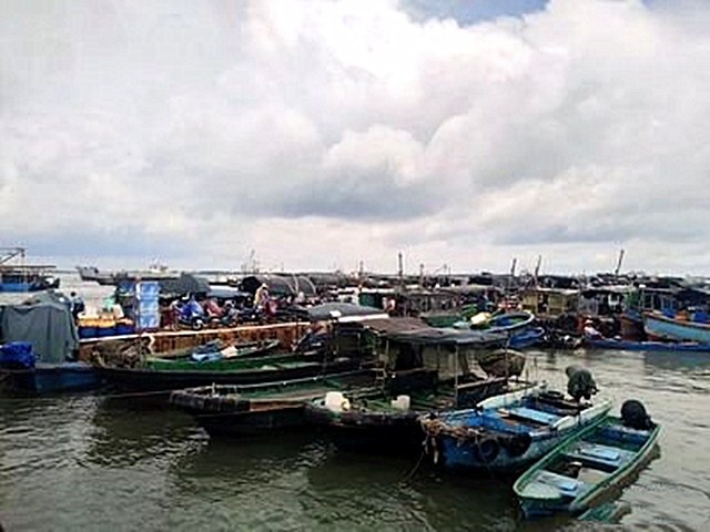 湛江目前最大的两个海鲜批发市场,广东湛江第一长滩海鲜市场