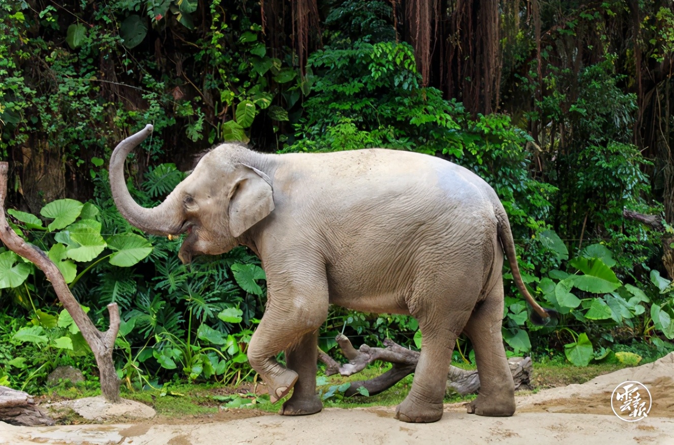 云南沧源县的风景,云南沧源最漂亮的地方