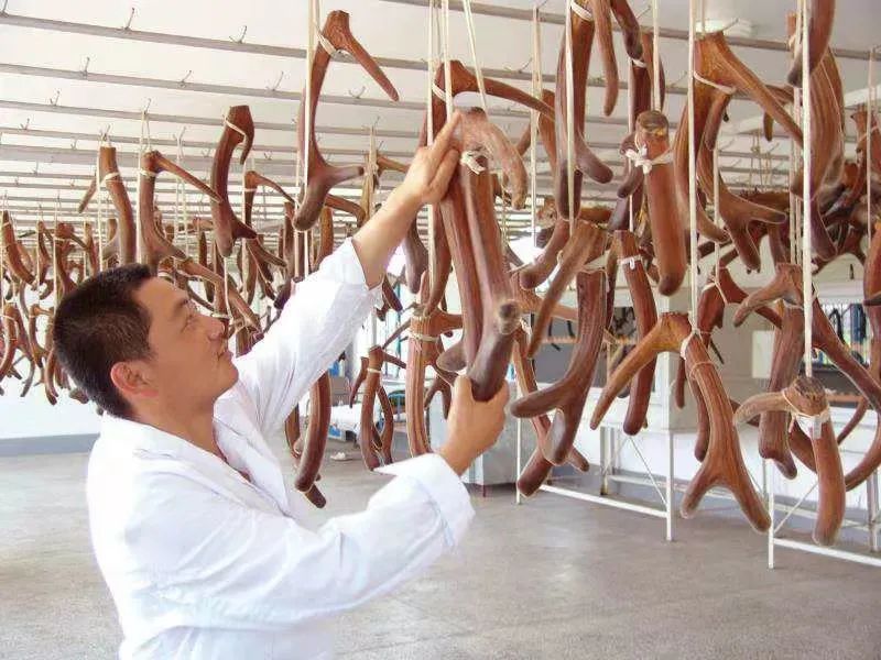 助推中医药传承创新高质量发展，吉林非遗这样做！