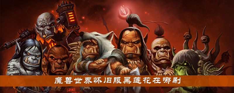 魔兽世界60级怀旧服买卖金币平台,魔兽世界怀旧服实时拍卖行