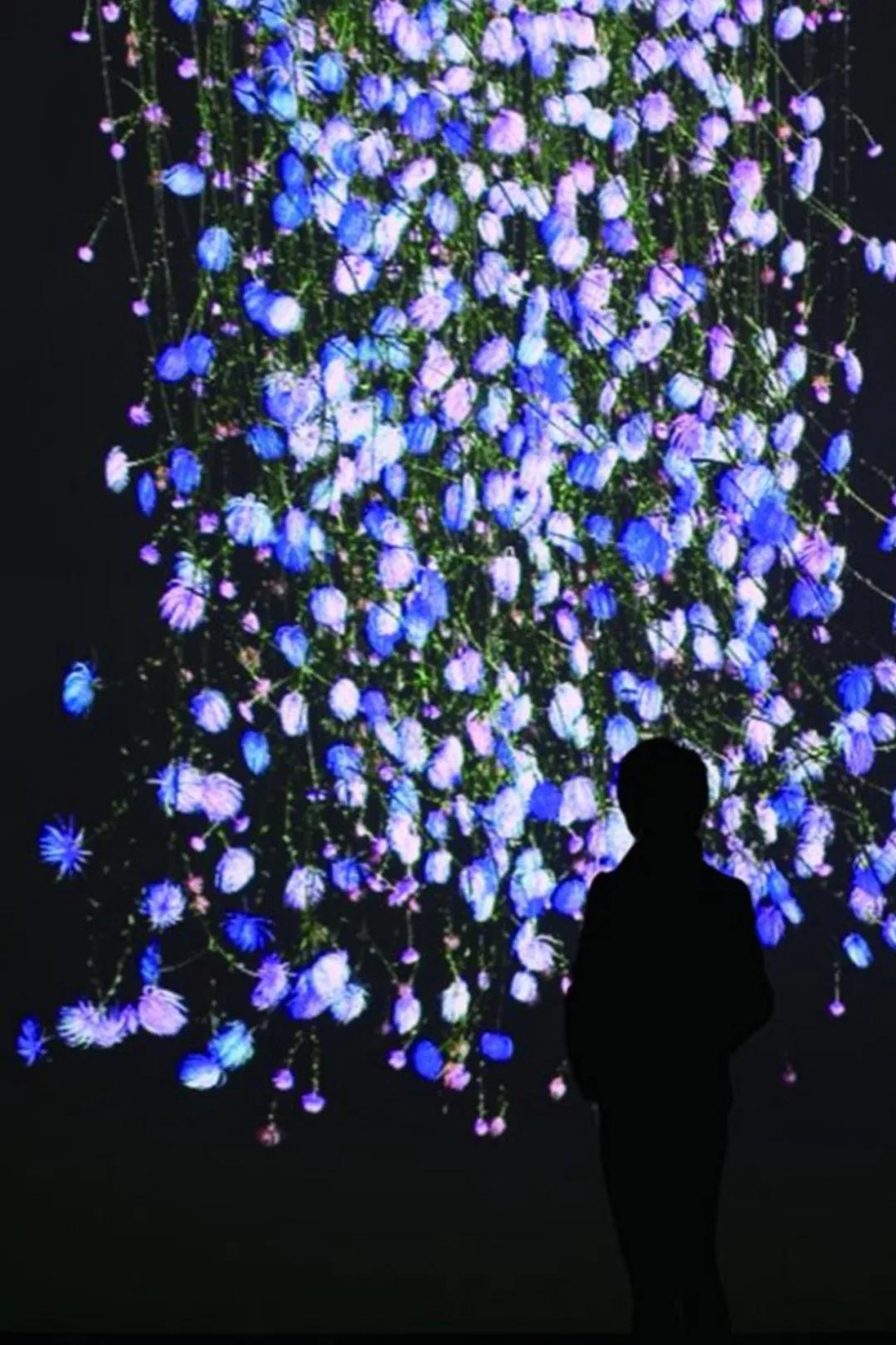 白天打卡33组奇妙的巨大装置，夜晚欣赏蓝色的光之海洋