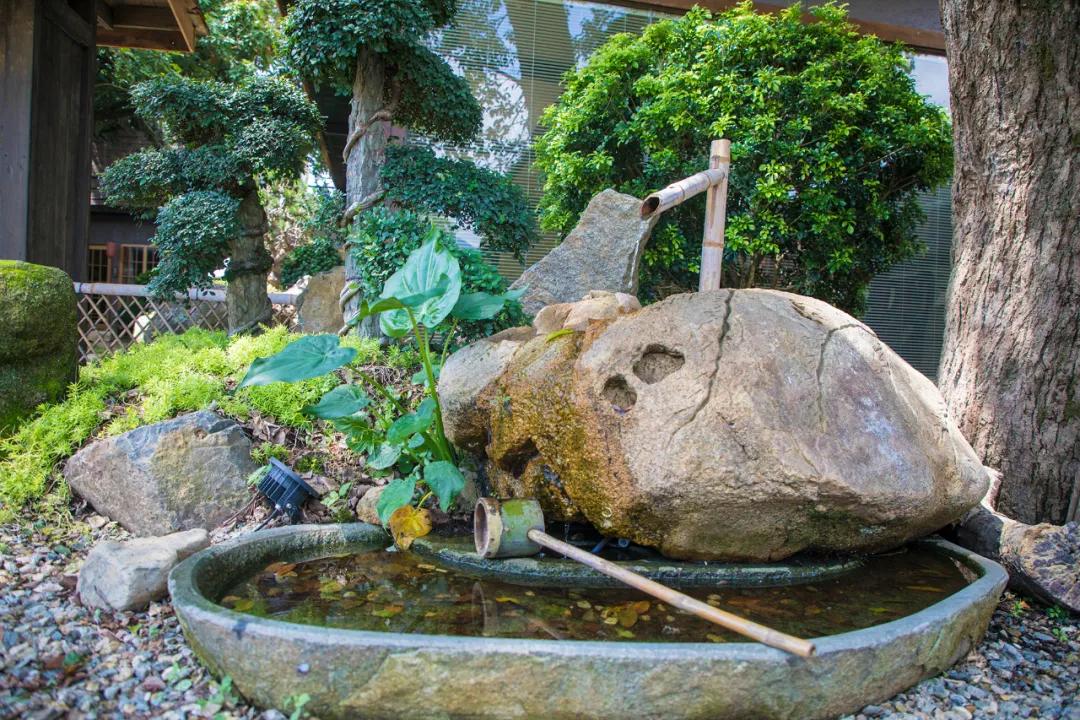 探访林溪山涧的森居之旅,长泰之旅