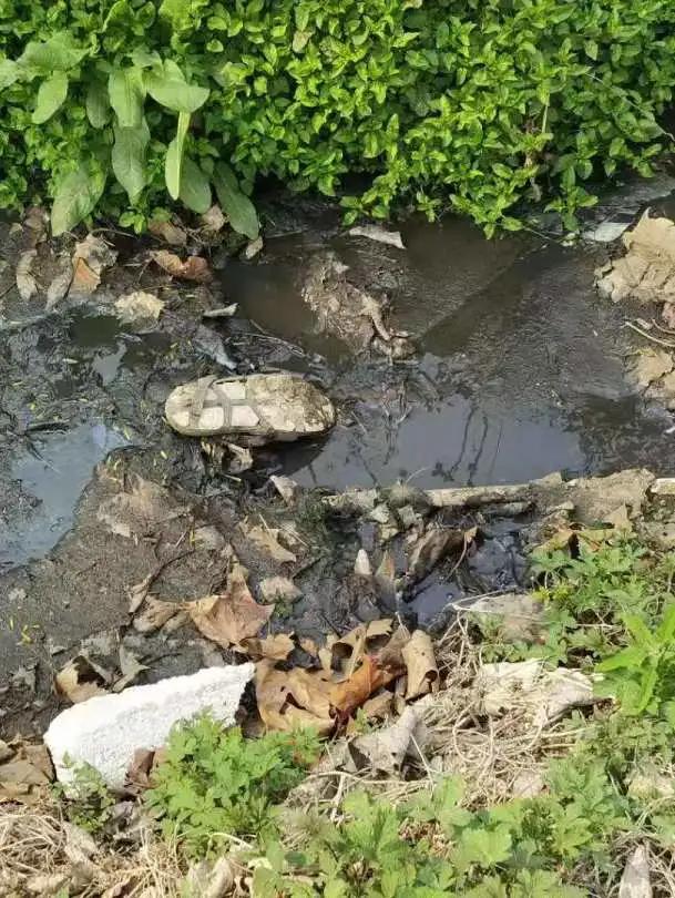 我为群众办实事清理道路淤泥,我为群众办实事潘河村