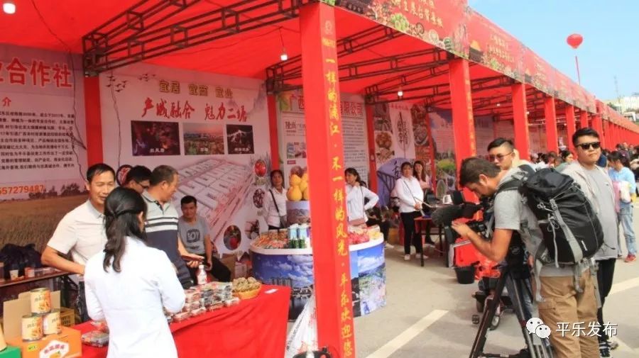 桂林平乐美食攻略,广西桂林平乐县特色美食