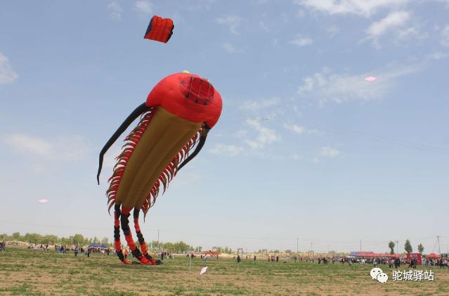 榆林芹河旅游,榆阳区周末游玩推荐