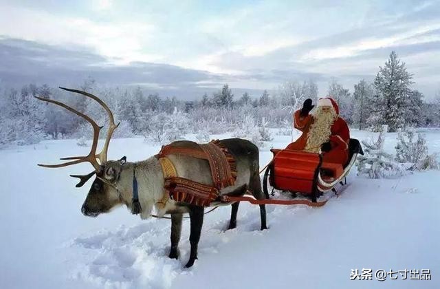 各国圣诞大餐都吃些什么,各国圣诞大餐图片