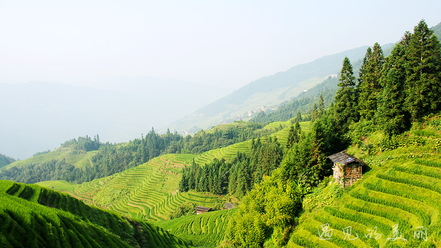 龙脊梯田风景区被破坏过吗,桂林龙脊梯田最全攻略