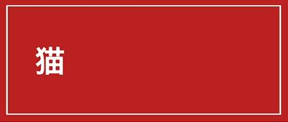 猫咪肺水肿治愈后怎么护理,猫咪长途运输后怎么护理