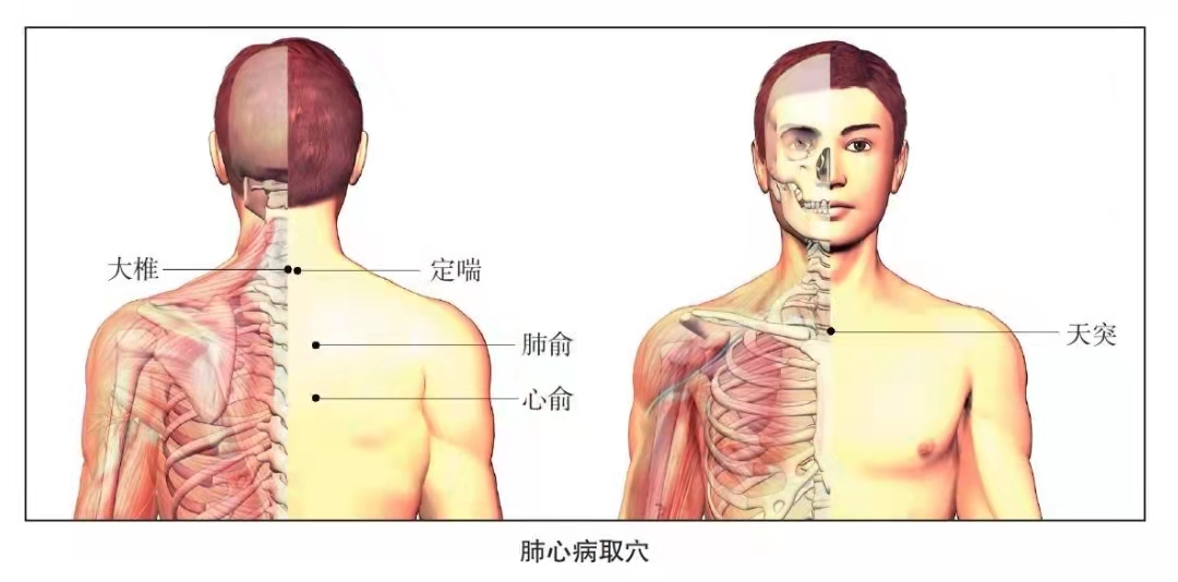每天捏一捏、压一压、拍一拍，特效养生，肺心病患者都爱做