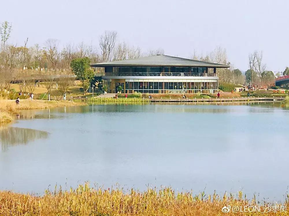 成都世界最大的公园,成都大公园游玩
