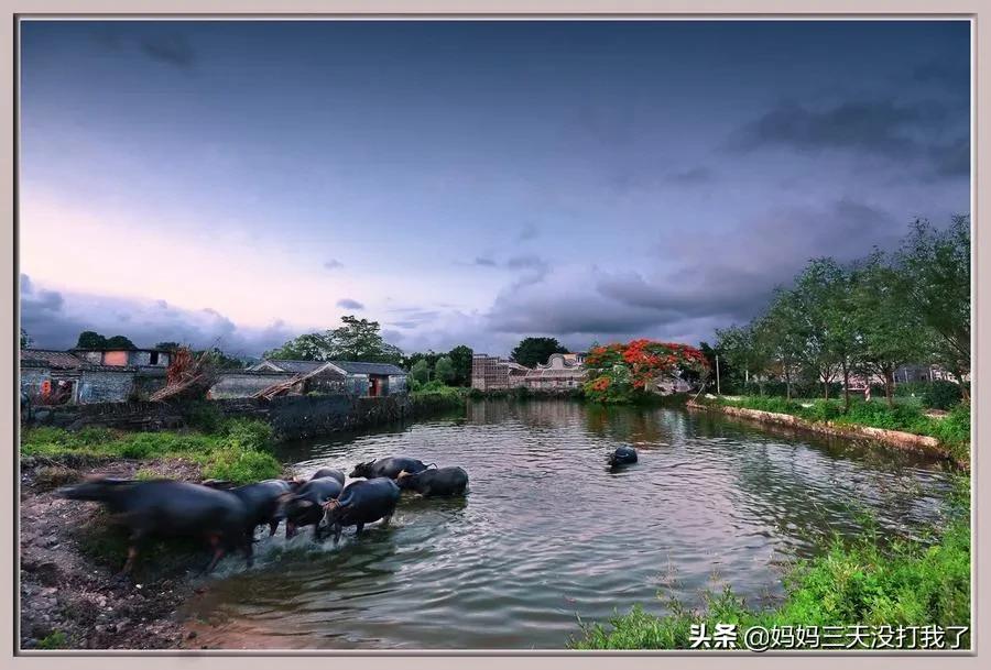 鍥寸倝澶滆瘽绡濈伀,鍥寸倝澶滆瘽璧忔瀽