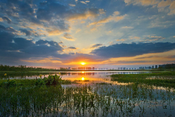 合肥市网红游玩区,合肥网红景点推荐