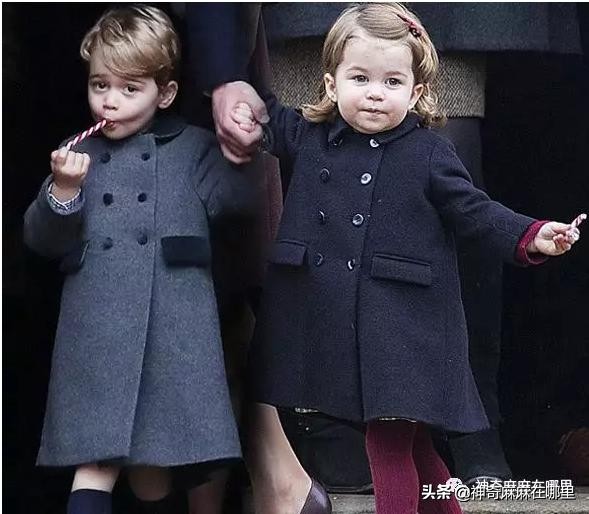 带货小王子,带货的小王子