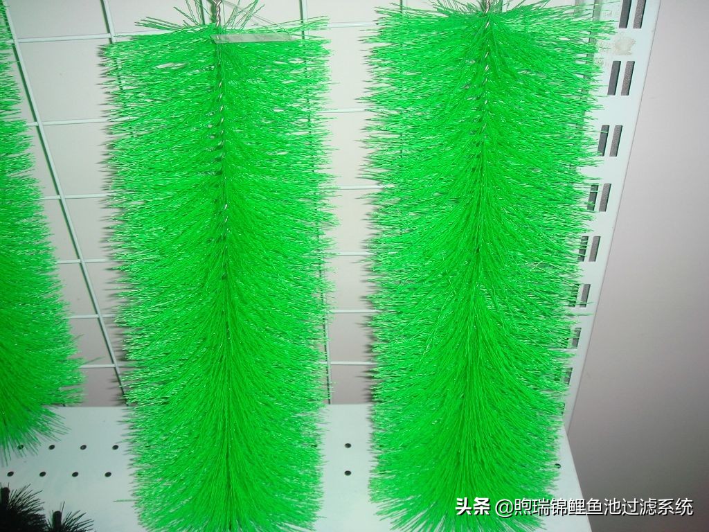 养锦鲤过滤用多大的过滤泵,锦鲤过滤全用生化过滤可以吗