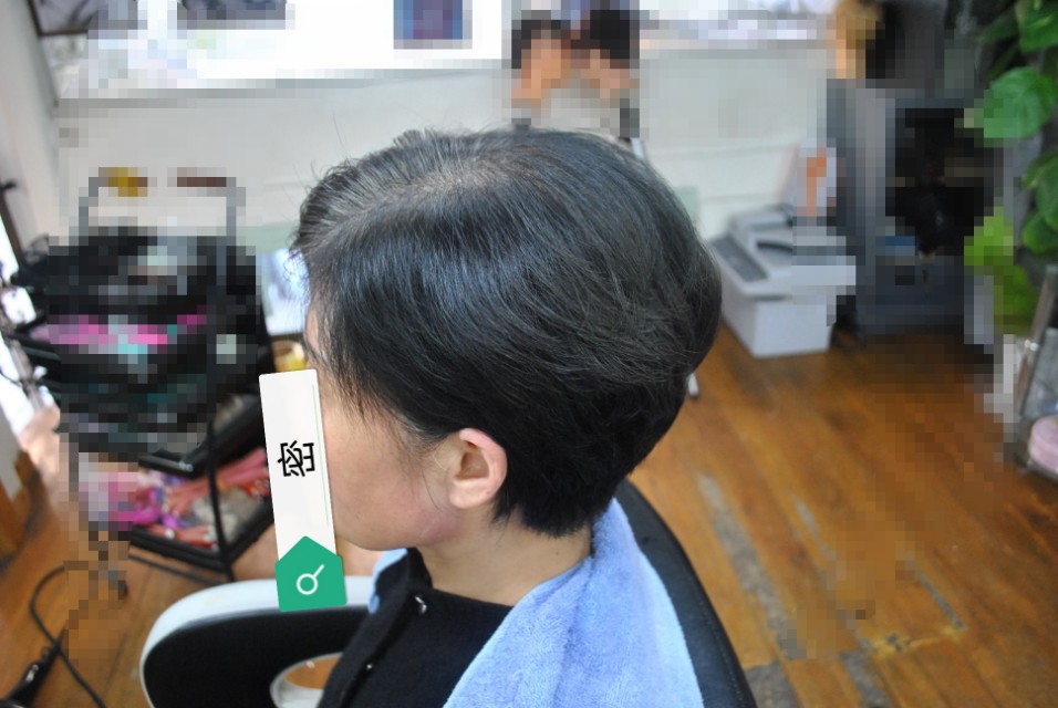 遮盖白发假发真发,遮白发神器假发无刘海