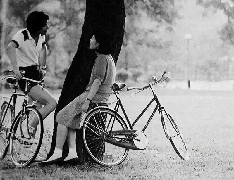 八十年代凤凰自行车的故事,上世纪凤凰自行车