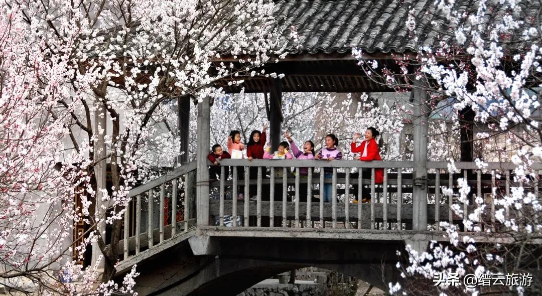 缙云景区拍照攻略视频,缙云风景拍摄