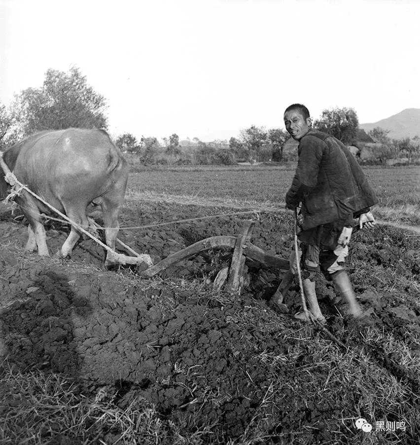 1934年的南京城,1944年南京视频