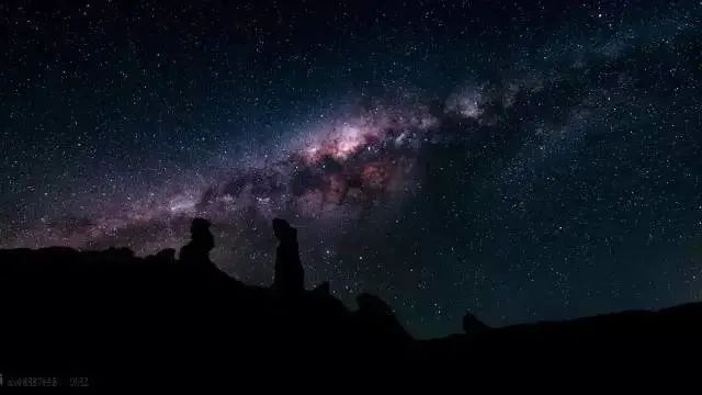 假期儿童纪录片推荐经典,青少年假期推荐纪录片