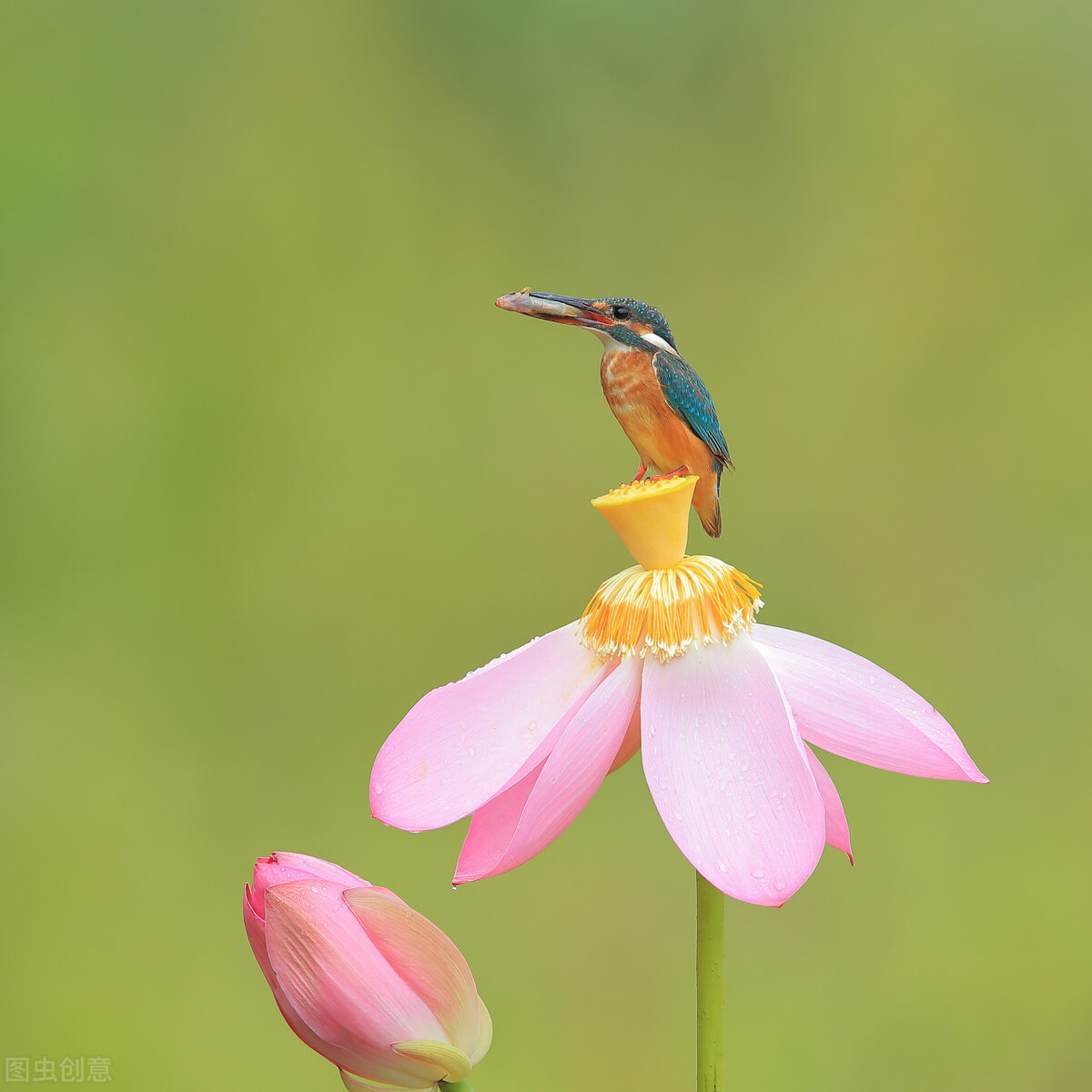 产科女医生的故事,妇产科门诊精彩故事