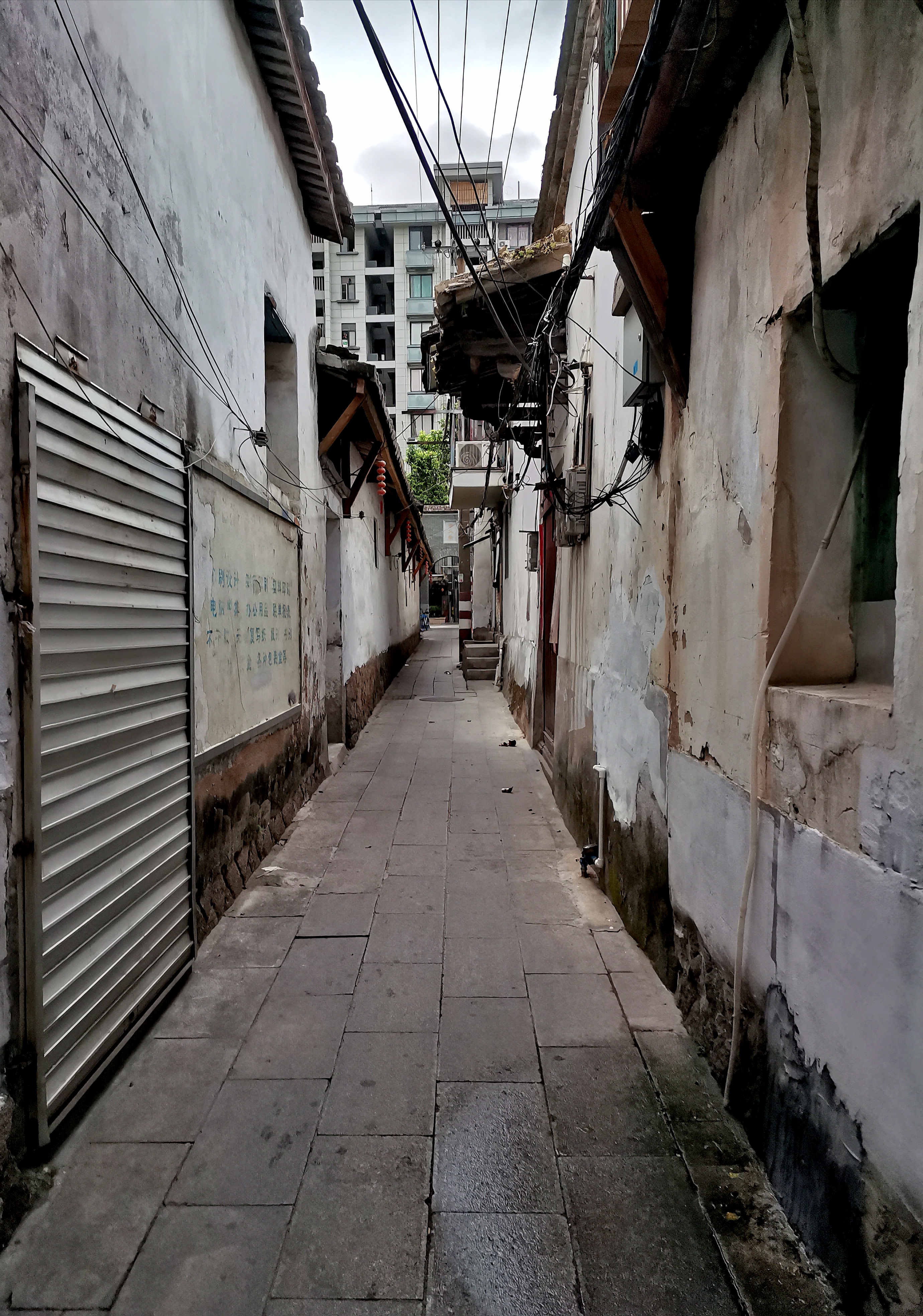 福建情结,福建人的家族情结