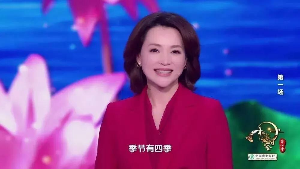 董卿在中国诗词大会第一季开场词,2022央视诗词大会康震的开场词