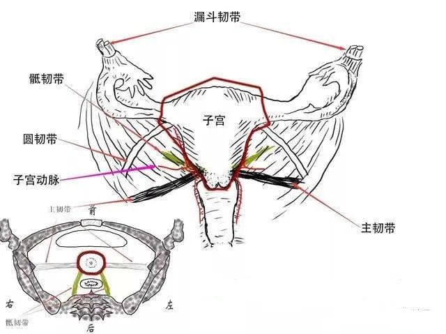 子宫的故事绘本,子宫里的故事生命诞生的奥妙