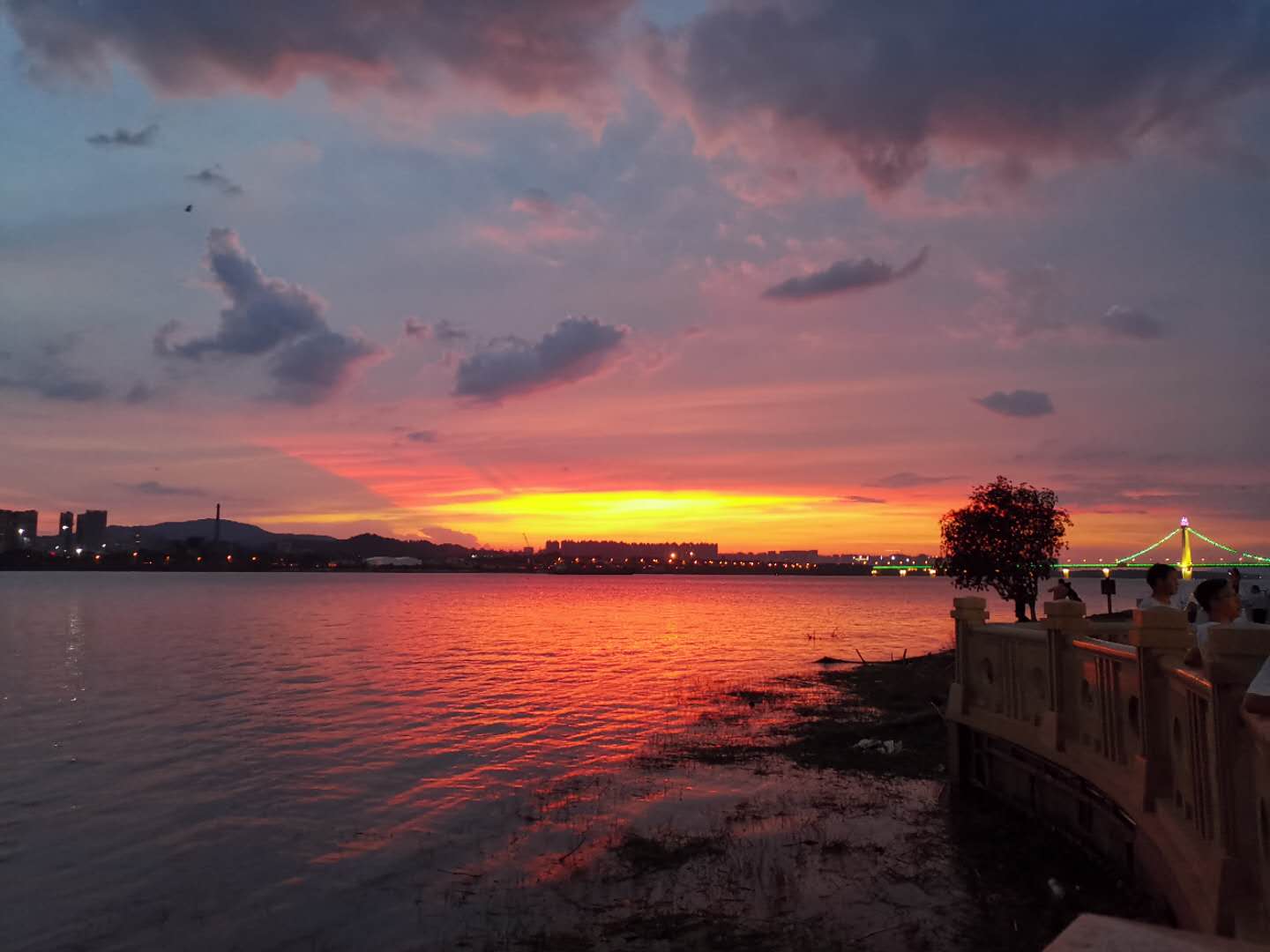 感冒失音,感冒失音怎么办