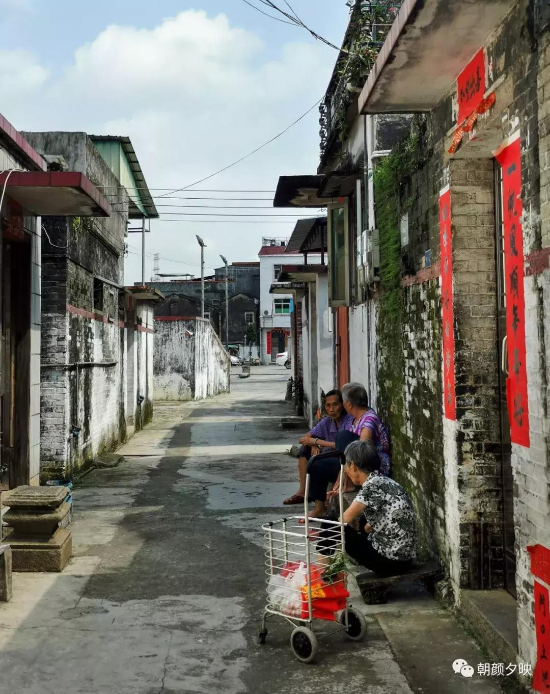 岐阳梧桐起凤环，鹭兮鹭兮寻不见（上）