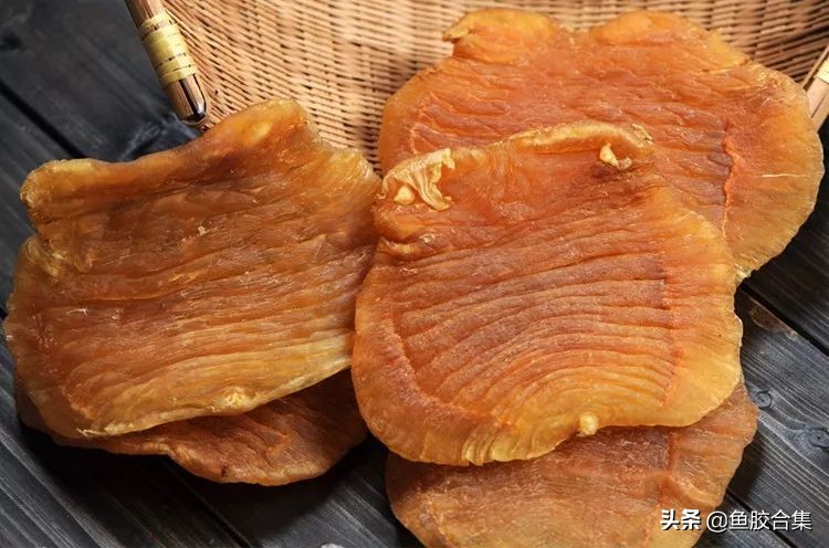 赤嘴鮸鱼鱼胶,赤嘴鳘鱼胶是什么