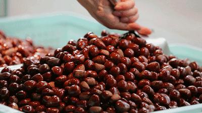 天津美食推荐必吃包子,哏都天津美食记