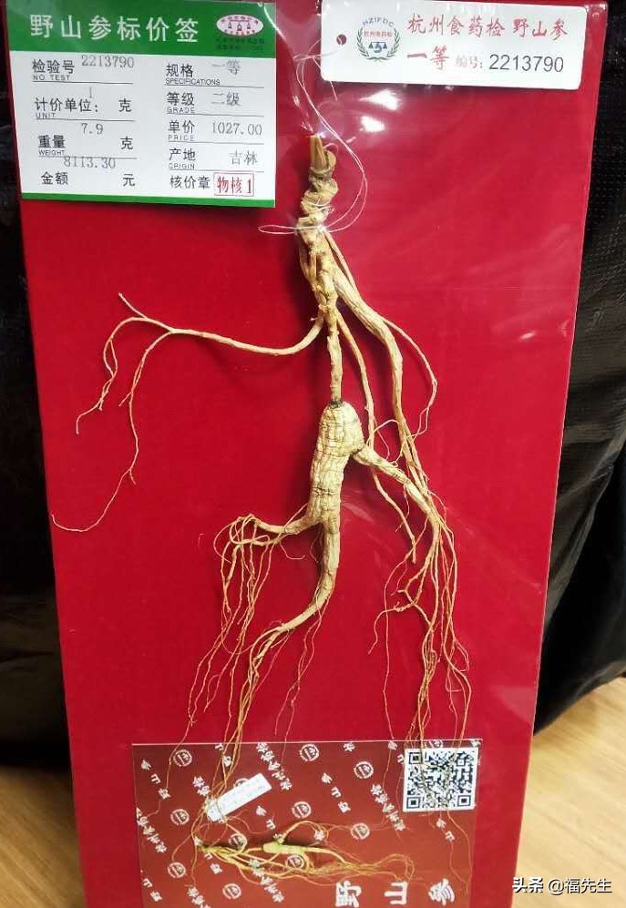 据说长白山人参很便宜,七月长白山两天一晚多少钱