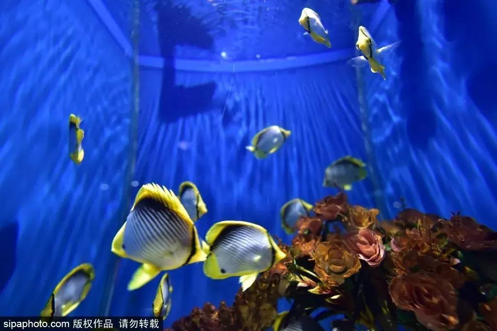 周末北京这些值得去的地方,北京周末来这儿玩