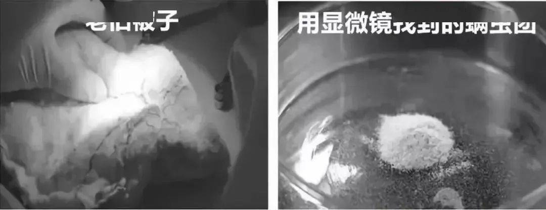 英国珀婷pertine除螨喷雾剂,瑞士珀婷pertine除螨喷雾剂